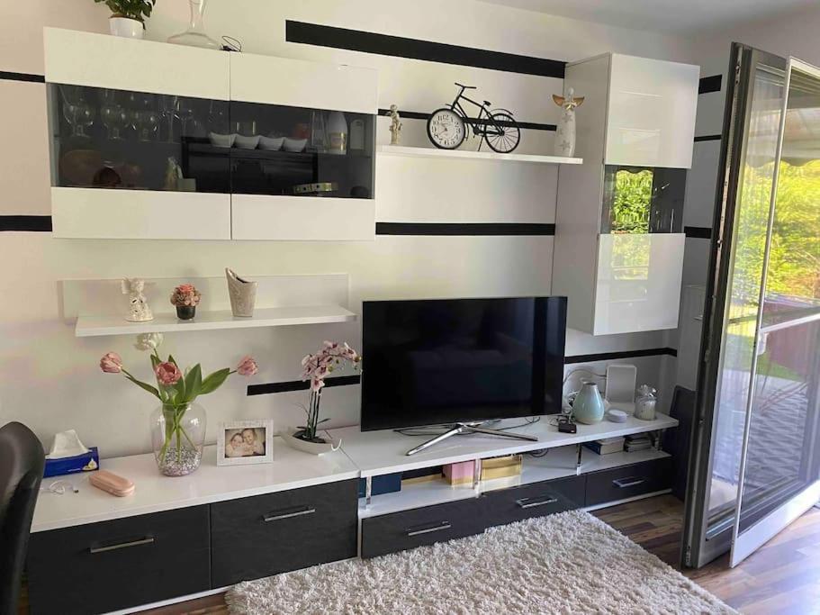Tolle 3 Mit Garten Apartament Wiedeń
